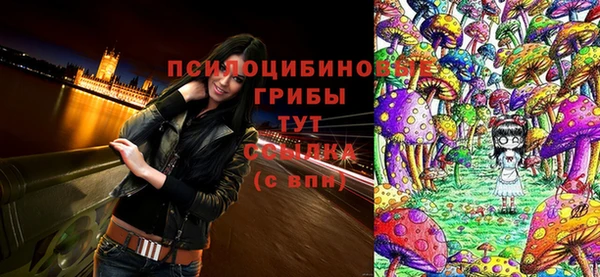 крисы Горняк