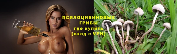 мдпв Горно-Алтайск