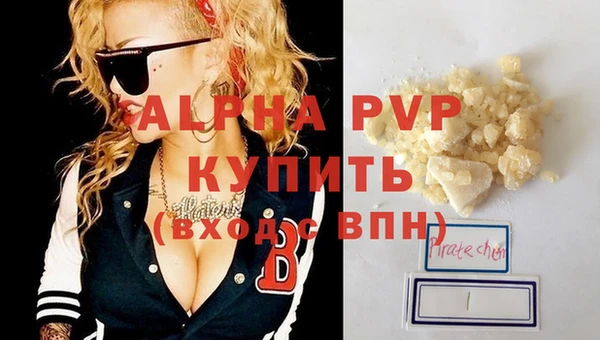 спиды Гусев