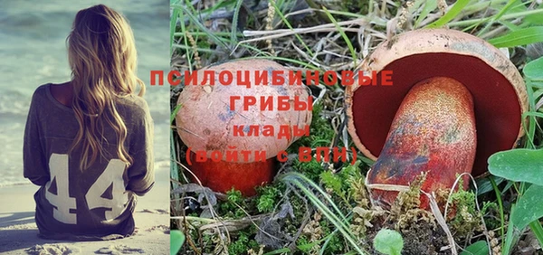 ешки Горнозаводск