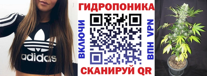 Купить закладки Сальск Бошки Шишки конопля